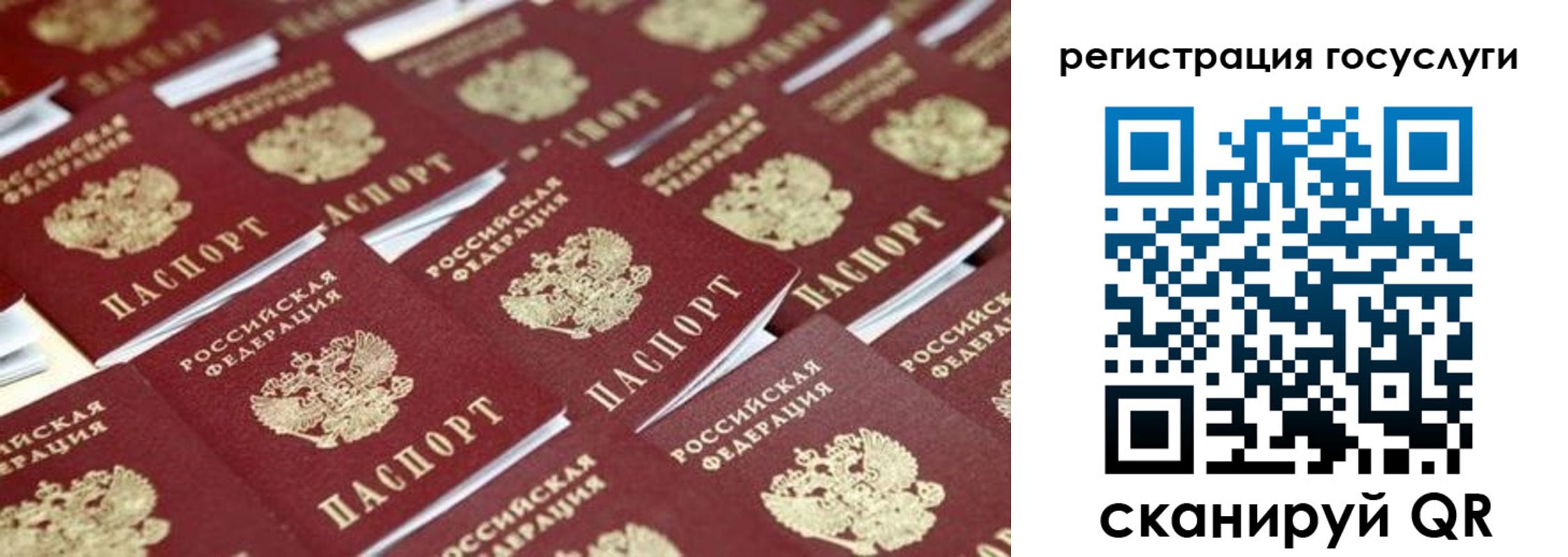 прописка ребенка в Тосно